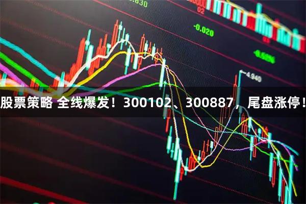 股票策略 全线爆发！300102、300887，尾盘涨停！
