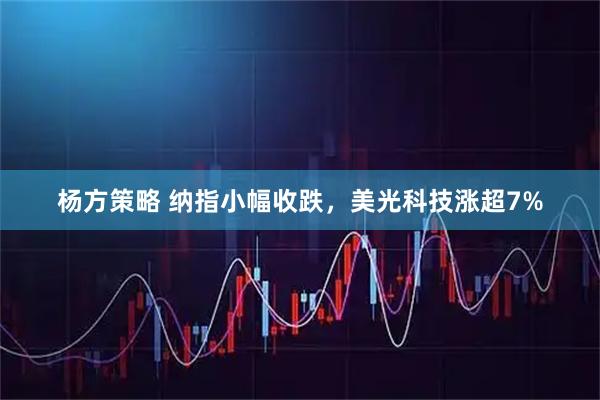 杨方策略 纳指小幅收跌，美光科技涨超7%